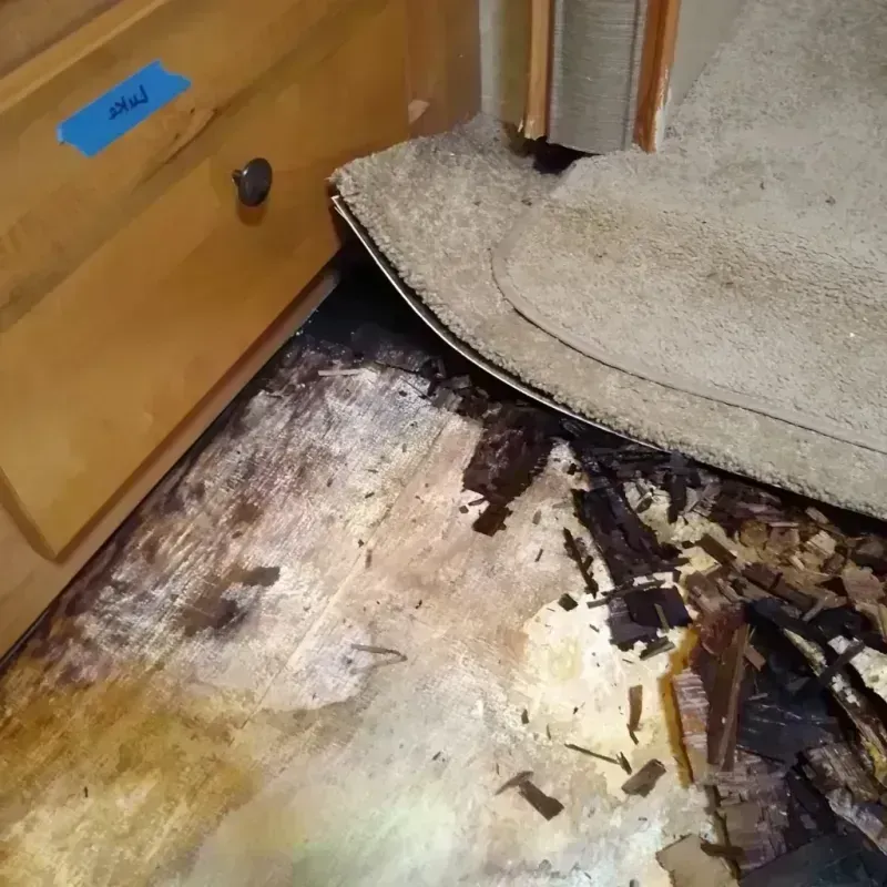 Best Wood Floor Water Damage Service in Mahtomedi, MN